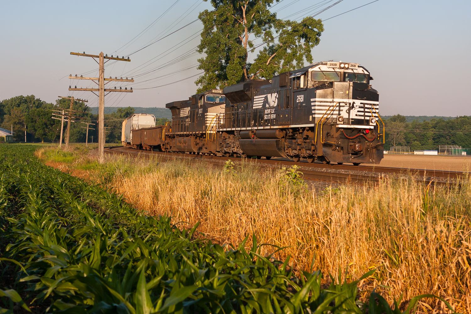 Railroad photograph of Norfolk Southern 310 at Attica, New York.